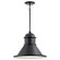 Outdoor Pendant 1Lt (10687|49777BK)