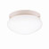 Flush Mount 1Lt (10687|208WH)