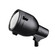 Accent 1-Lt 120V (10687|15241BKT)
