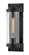 Small Wall Sconce (87|29060TK-LL)