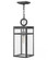 Medium Hanging Lantern (87|2802DZ-LL)
