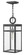 Medium Hanging Lantern (87|2802DZ-LL)