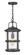 Medium Hanging Lantern 12v (87|2682BK-LV)