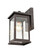 Outdoor Wall Sconce (670|4101-PBZ)