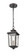 Outdoor Hanging Lantern (670|4621-PBZ)