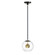 Nucleus-Single Pendant (94|E25153-BKNAB)