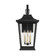 Warren Medium Lantern (7725|OL15402TXB)