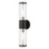 Black ADA 2-Light Vanity Sconce (108|17282-04)