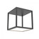 1-Light Tall LED Surface Mount (107|24Z0009K)