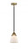 Cone - 1 Light - 6 inch - Black Antique Brass - Stem hung - Mini Pendant (3442|288-1S-BAB-G61)