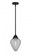 Geneseo - 1 Light - 7 inch - Matte Black - Stem hung - Mini Pendant (3442|288-1S-BK-G165-LED)