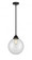 Beacon - 1 Light - 10 inch - Matte Black - Stem hung - Mini Pendant (3442|288-1S-BK-G202-10-LED)