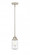 Dover - 1 Light - 5 inch - Polished Nickel - Stem hung - Mini Pendant (3442|288-1S-PN-G312-LED)