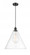 Berkshire - 1 Light - 16 inch - Matte Black - Cord hung - Pendant (3442|516-1P-BK-GBC-162-LED)