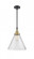 Cone - 1 Light - 12 inch - Black Antique Brass - Mini Pendant (3442|447-1S-BAB-G44-L-LED)