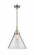 Cone - 1 Light - 12 inch - Brushed Satin Nickel - Mini Pendant (3442|447-1S-SN-G42-L-LED)