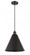Berkshire - 1 Light - 16 inch - Matte Black - Cord hung - Mini Pendant (3442|516-1P-BK-MBC-16-BK)