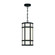 18'' Outdoor LED Pendant (4304|42691-013)