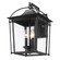 Large Wall Sconce - Outdoor (36|4305-OWL NB-CLR)