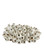 Sulawasi White Shells (92|1200-0429)
