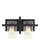 Mitte transitional 2-light indoor dimmable bath vanity wall sconce in midnight black finish with cle (38|4441502-112)