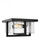 Mitte transitional 2-light indoor dimmable ceiling flush mount in midnight black finish with clear g (38|7541502-112)