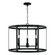 4 Light Pendant (42|344941BI)