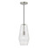 1 Light Pendant (42|345011BN)