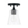 1 Light Pendant (42|346911MB-533)