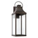 1 Light Outdoor Wall Lantern (42|946441OZ-GL)