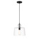 Clarity - 1 Light Pendant (10|2335-66A)