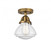 Olean - 1 Light - 7 inch - Brushed Brass - Semi-Flush Mount (3442|288-1C-BB-G324)