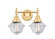 Oxford - 2 Light - 17 inch - Satin Gold - Bath Vanity Light (3442|447-2W-SG-G532)