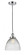 Seneca Falls - 1 Light - 10 inch - Polished Chrome - Cord hung - Mini Pendant (3442|616-1PH-PC-G222)