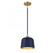 1-Light Pendant in Navy Blue with Natural Brass (8483|M70118NBLNB)