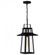 Devonport 1-Light Matte Black Outdoor Hanging Lantern (26|DEV1910MBK)