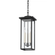 Eden Exterior Pendant (52|F7520-TBK)