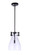 Chardonnay 1 Light Mini Pendant in Flat Black (20|55891-FB)
