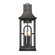 Triumph 23'' High 3-Light Outdoor Sconce - Textured Black (91|89603/3)