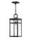 Medium Hanging Lantern (87|2802BK-LL)