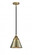 Appalachian - 1 Light - 8 inch - Black Antique Brass - Stem hung - Mini Pendant (3442|288-1S-BAB-M13-AB)