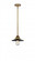 Railroad - 1 Light - 8 inch - Brushed Brass - Stem hung - Mini Pendant (3442|288-1S-BB-M6-BK)