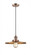 Appalachian - 1 Light - 12 inch - Antique Copper - Cord hung - Mini Pendant (3442|201C-AC-MFR-AC-12-LED)