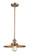 Appalachian - 1 Light - 12 inch - Antique Copper - Stem Hung - Mini Pendant (3442|201S-AC-MFR-AC-12)