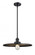 Appalachian - 1 Light - 16 inch - Matte Black - Stem Hung - Mini Pendant (3442|201S-BK-MFR-BK-16)