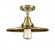 Appalachian - 1 Light - 12 inch - Antique Brass - Semi-Flush Mount (3442|447-1C-AB-MFR-AB-12)