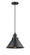 Briarcliff - 1 Light - 10 inch - Matte Black - Cord hung - Mini Pendant (3442|201CSW-BK-M10-BK)