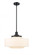 Bridgeton - 1 Light - 16 inch - Matte Black - Stem Hung - Mini Pendant (3442|201S-BK-G691-16)