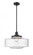 Bridgeton - 1 Light - 16 inch - Matte Black - Stem Hung - Mini Pendant (3442|201S-BK-G692-16)