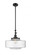 Bridgeton - 1 Light - 16 inch - Matte Black - Stem Hung - Adjustable Mini Pendant (3442|206-BK-G692-16)